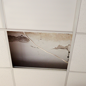 Bedrijfsschadeverzekering