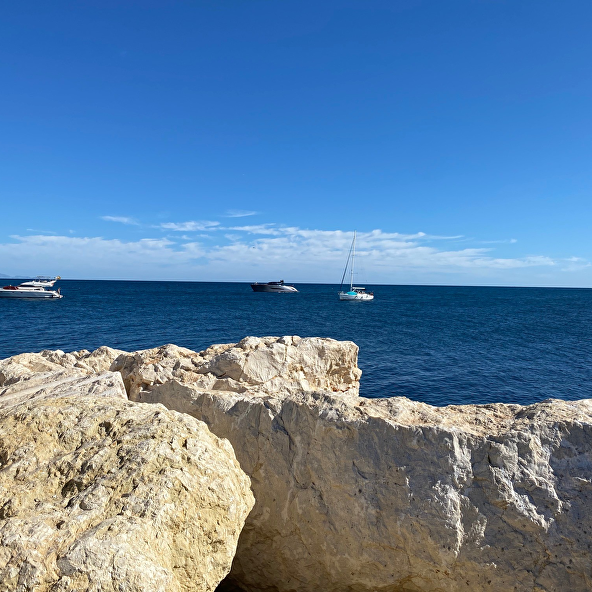 Transparantie zonder verrassingen